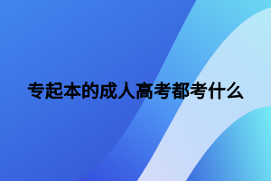 專起本的成人高考都考什么