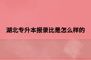 湖北專升本報錄比是怎么樣的