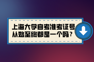 上海大學自考準考證號從始至終都是一個嗎？