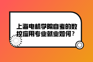 上海電機(jī)學(xué)院自考的數(shù)控應(yīng)用專業(yè)就業(yè)如何？