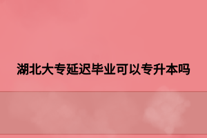 湖北大專延遲畢業(yè)可以專升本嗎