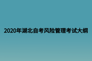 2020年湖北自考風(fēng)險(xiǎn)管理考試大綱