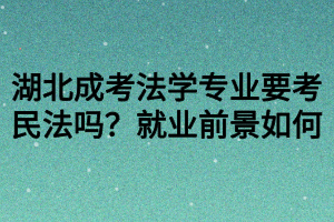 湖北成考法學專業(yè)要考民法嗎？就業(yè)前景如何