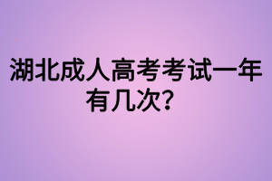 湖北成人高考考試一年有幾次？