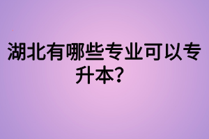 湖北有哪些專業(yè)可以專升本？