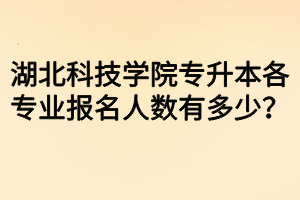 湖北科技學(xué)院專升本各專業(yè)報(bào)名人數(shù)有多少？