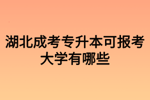 湖北成考可報(bào)考大學(xué)有哪些