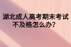 湖北成人高考期末考試不及格怎么辦？