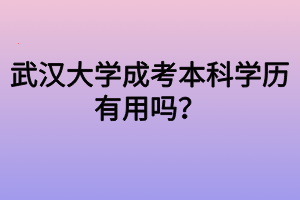 武漢大學成考本科學歷有用嗎？