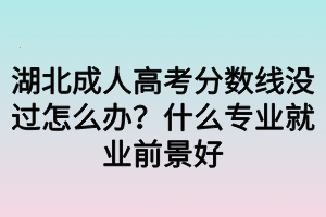 湖北成人高考分?jǐn)?shù)線沒(méi)過(guò)怎么辦？什么專業(yè)就業(yè)前景好