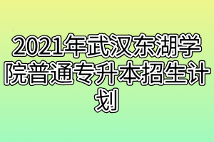 2021年武漢東湖學(xué)院普通專升本招生計劃