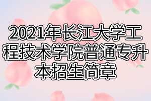 2021年長江大學(xué)工程技術(shù)學(xué)院普通專升本招生簡章