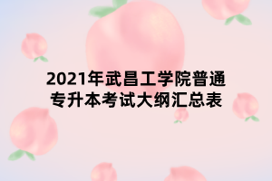 2021年武昌工學(xué)院普通專升本考試大綱匯總表