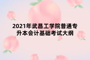 2021年武昌工學(xué)院普通專升本會(huì)計(jì)基礎(chǔ)考試大綱