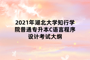 2021年湖北大學(xué)知行學(xué)院普通專升本C語言程序設(shè)計(jì)考試大綱