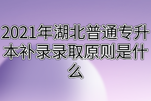 2021年湖北普通專(zhuān)升本補(bǔ)錄錄取原則是什么