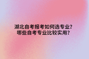 湖北自考報考如何選專業(yè)？哪些自考專業(yè)比較實用？