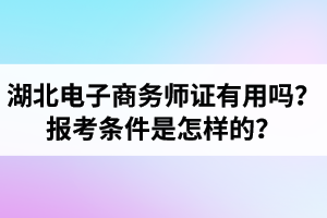 湖北電子商務(wù)師證書有用嗎？電子商務(wù)師報(bào)考條件是怎樣的？