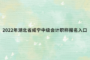 2022年湖北省咸寧中級會計職稱報名入口