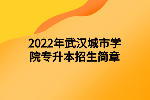 2022年武漢城市學院專升本招生簡章