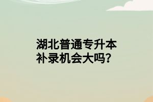 湖北普通專升本補(bǔ)錄機(jī)會大嗎？