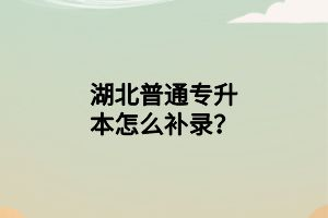 湖北普通專升本怎么補錄？