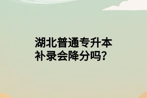 湖北普通專升本補錄會降分嗎？